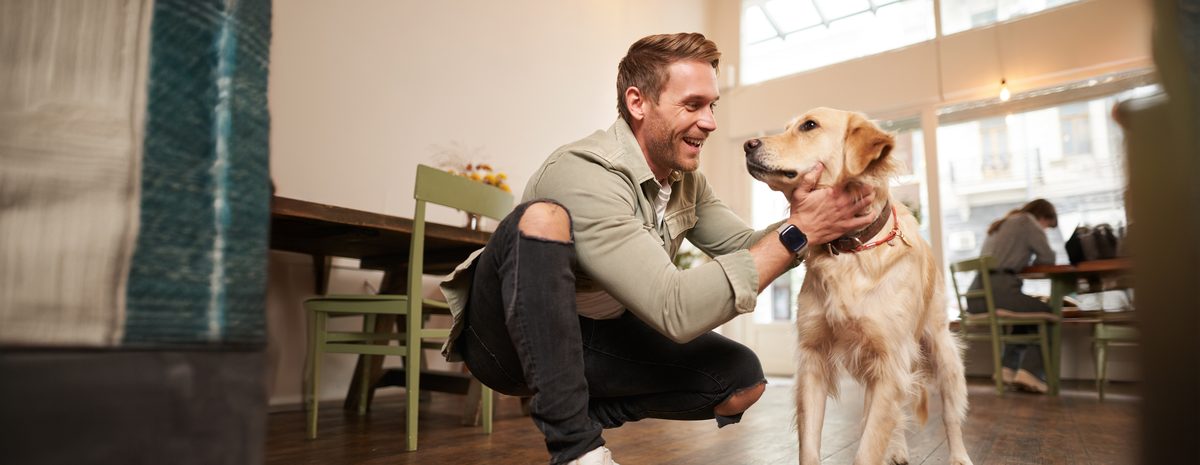 How to Get a Psychiatric Service Dog Letter How to get a psychiatric service dog PSD letter — training and licensed professional assessment