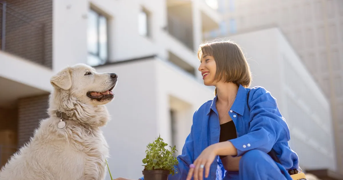 How to Request an ESA Accommodation From Your Landlord How to Request an ESA Accommodation From Your Landlord