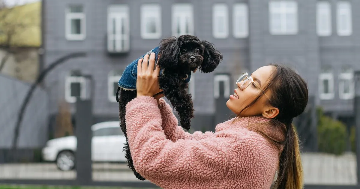 Can Puppies Qualify as Emotional Support Animals? Can Puppies Qualify as Emotional Support Animals?