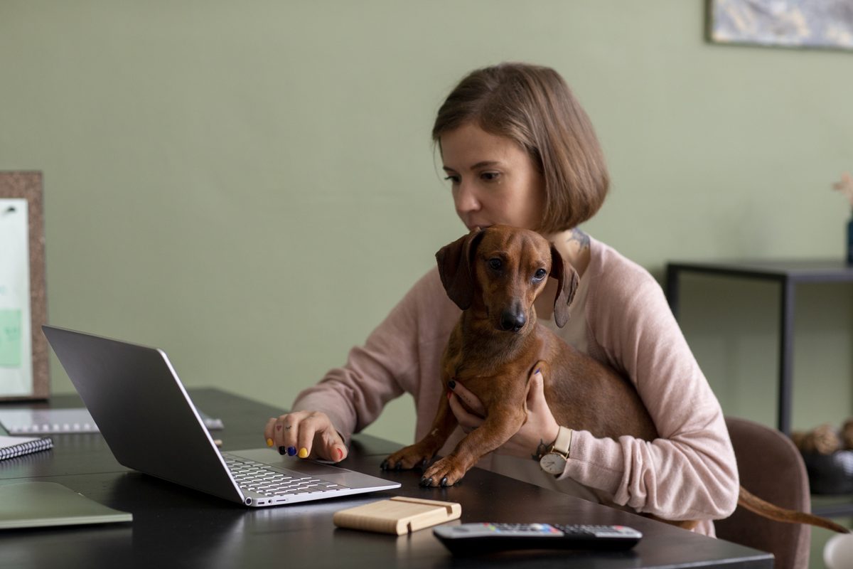 Your Guide To Getting Emotional Support Dog Certification Your Guide To Getting Emotional Support Dog Certification