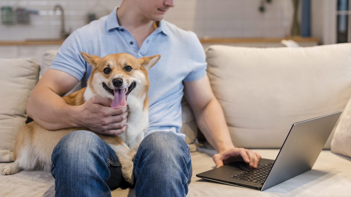 Psychiatric Service Dog in Florida 2026: Rights, Anti-Fraud Rules & Getting Your Letter Psychiatric Service Dog in Florida 2026: Rights, Anti-Fraud Rules & Getting Your Letter