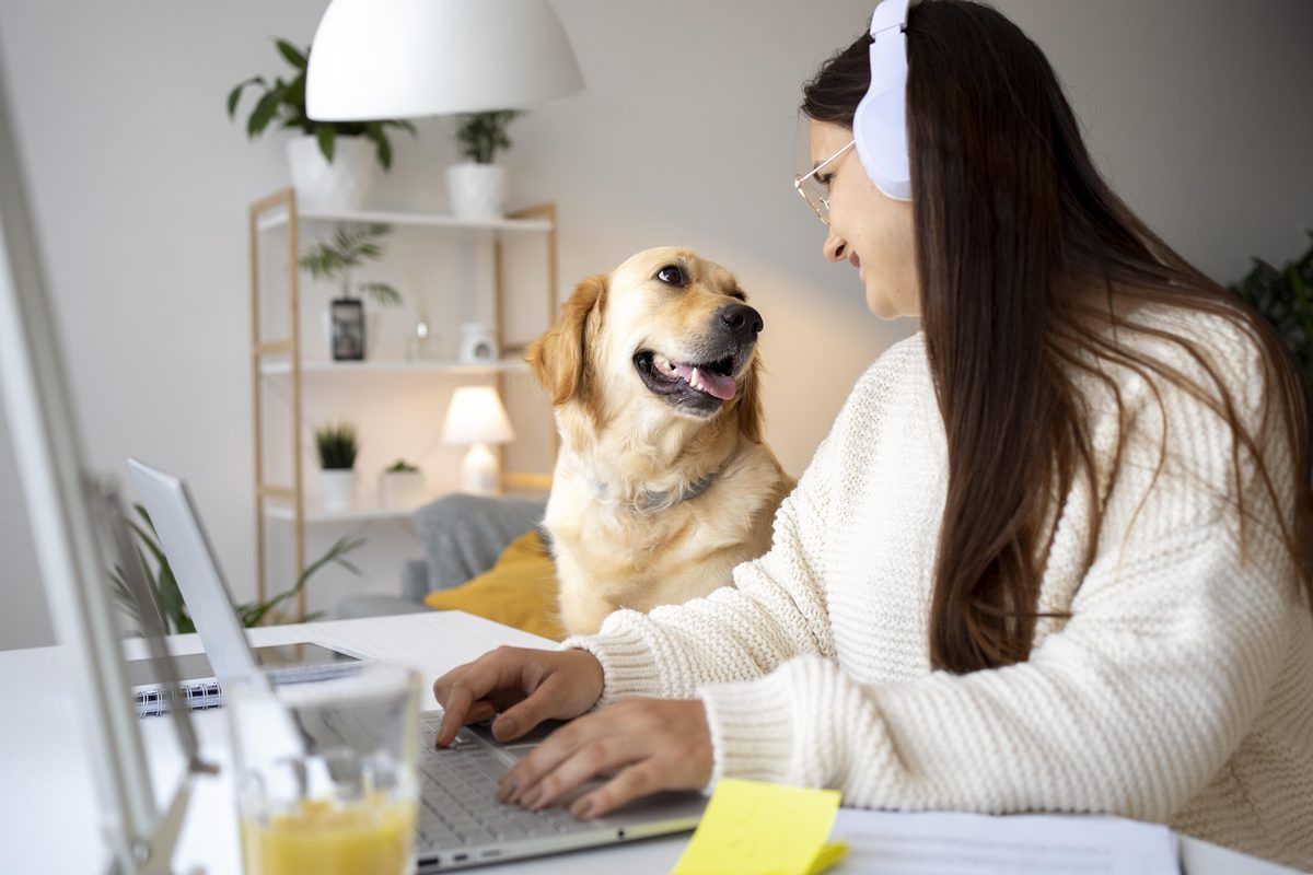ESA Annual Renewal & Subscription Plans: The Smartest Way to Stay Compliant in 2026 ESA Annual Renewal & Subscription Plans: The Smartest Way to Stay Compliant in 2026