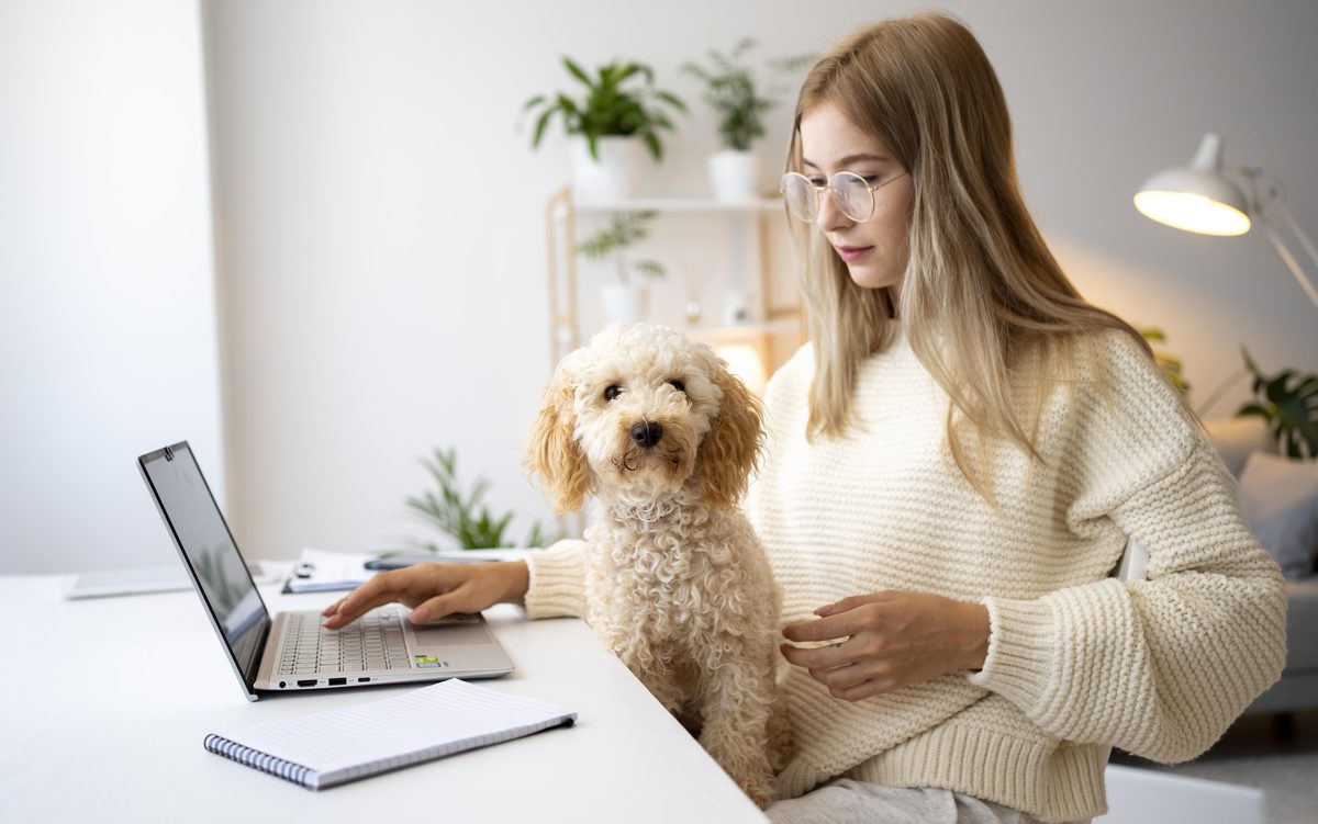Pet Therapy vs ESA vs Service Animal: What Actually Helps Mental Health in 2026 Pet Therapy vs ESA vs Service Animal: What Actually Helps Mental Health in 2026