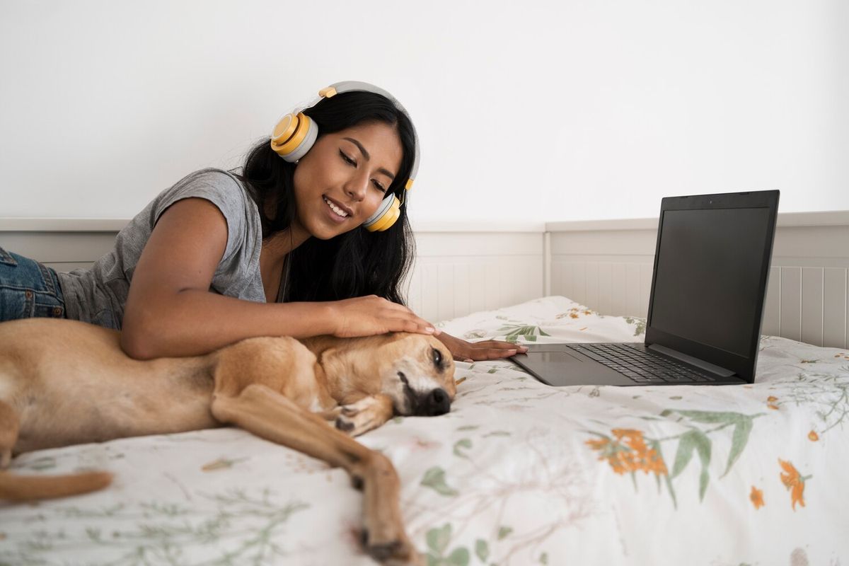 Can You Have an ESA in College Dorms? Complete Guide 2026 Can You Have an ESA in College Dorms? Complete Guide 2026