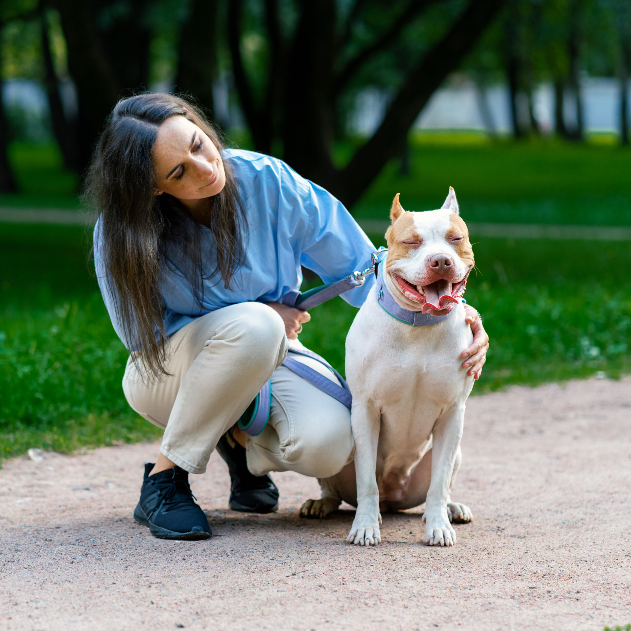 Why PawTenant Is the #1 Verifiable ESA Letter Service in the US Why PawTenant Is the #1 Verifiable ESA Letter Service in the US