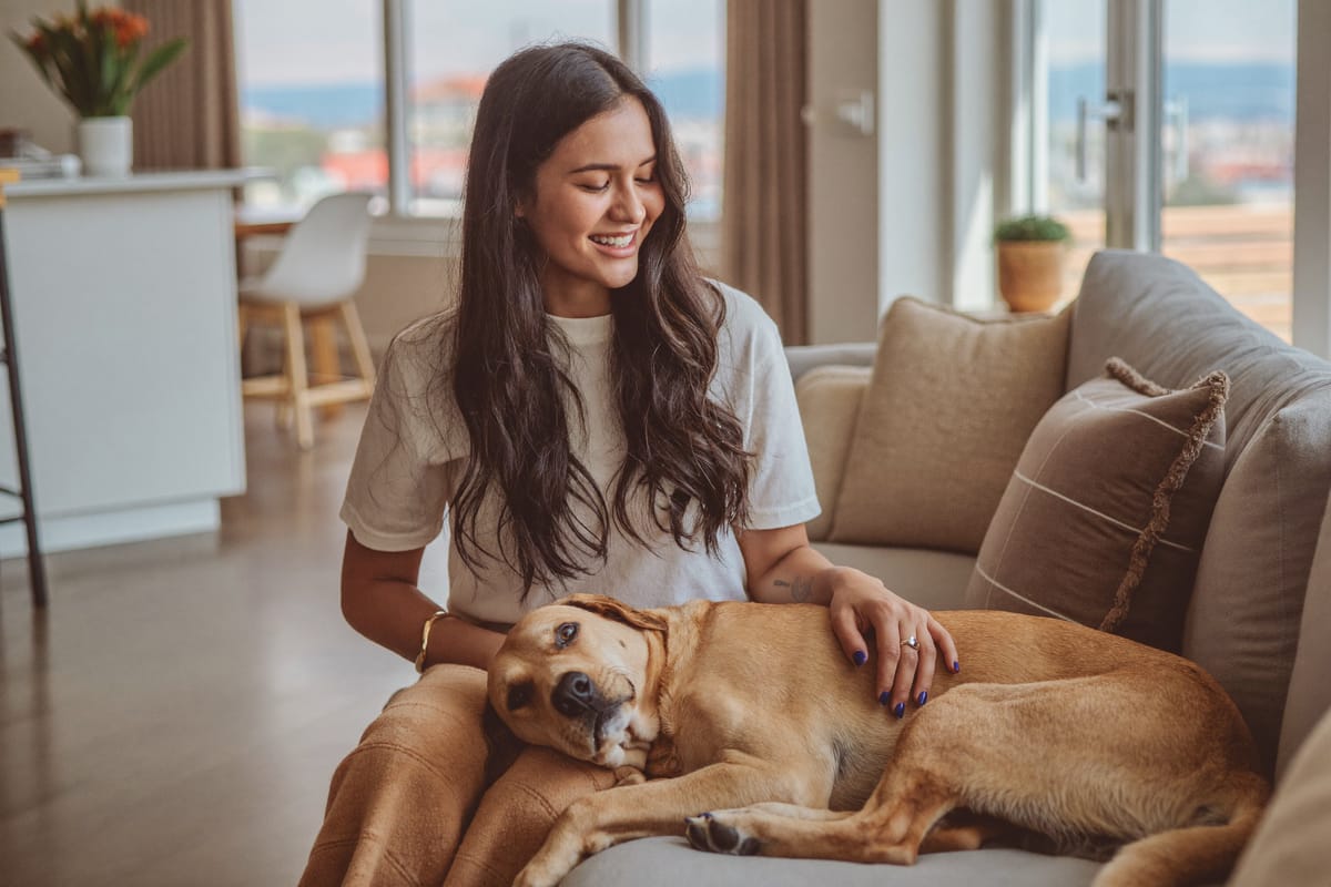 Apartment Pet Rent and ESA Letters: What Renters Should Know Apartment Pet Rent and ESA Letters: What Renters Should Know