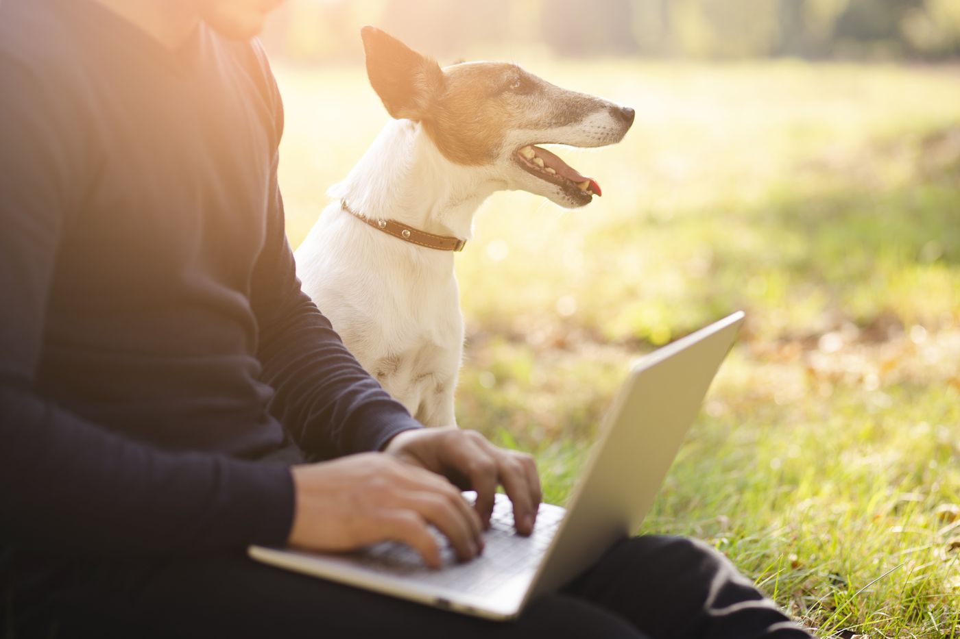 Washington Pet Rent and ESA Letters: What Renters Should Know Washington Pet Rent and ESA Letters: What Renters Should Know