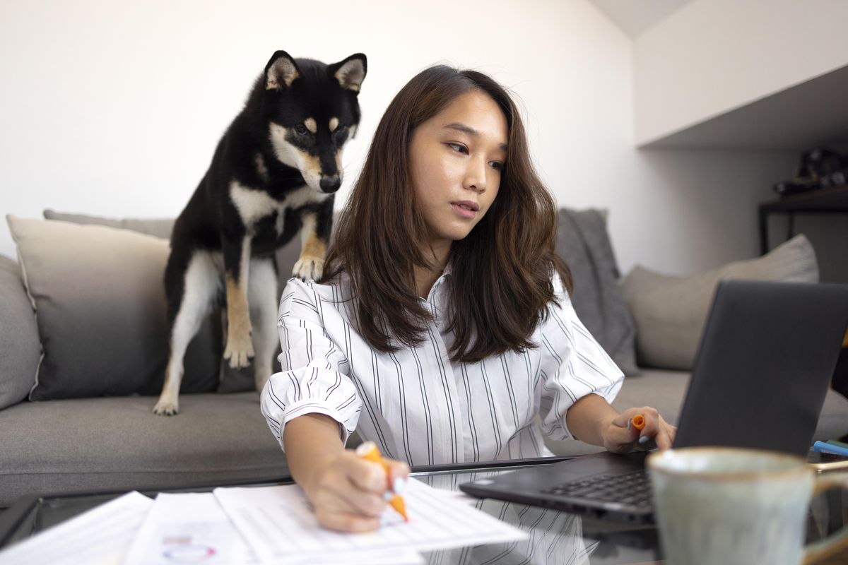 PawTenant licensed mental health professionals