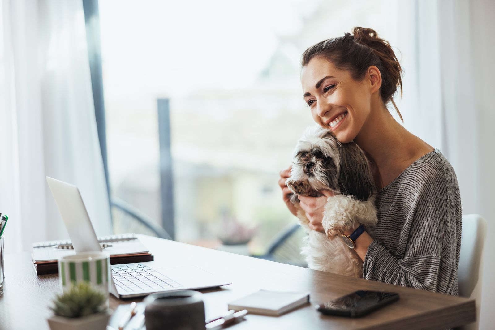 PawTenant telehealth ESA consultation with licensed LMHP
