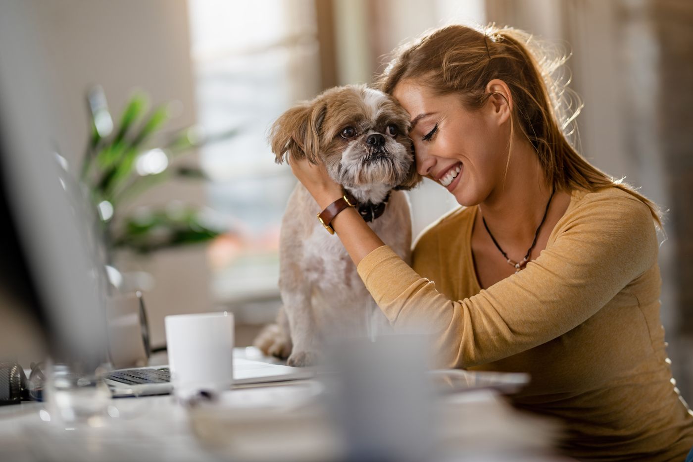 Texas Service Animal Laws: Public Access Rights and Penalties for Misrepresentation Texas Service Animal Laws: Public Access Rights and Penalties for Misrepresentation
