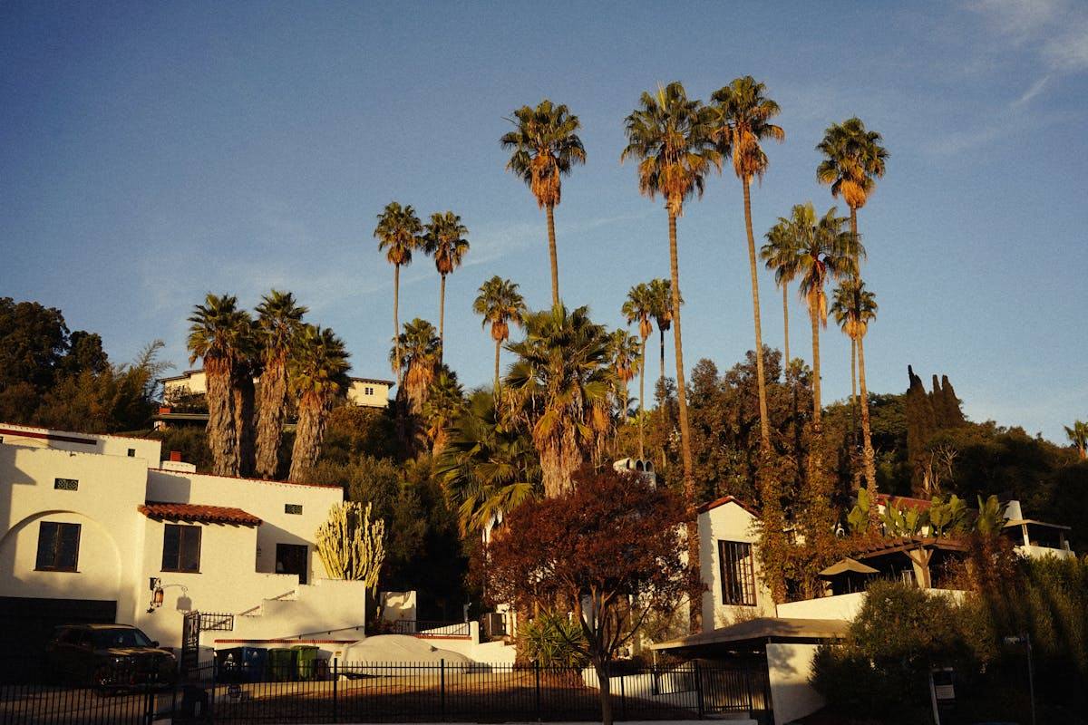 ESA California 2026 Update: AB 468, New Enforcement & What Renters Need to Know ESA California 2026 Update: AB 468, New Enforcement & What Renters Need to Know