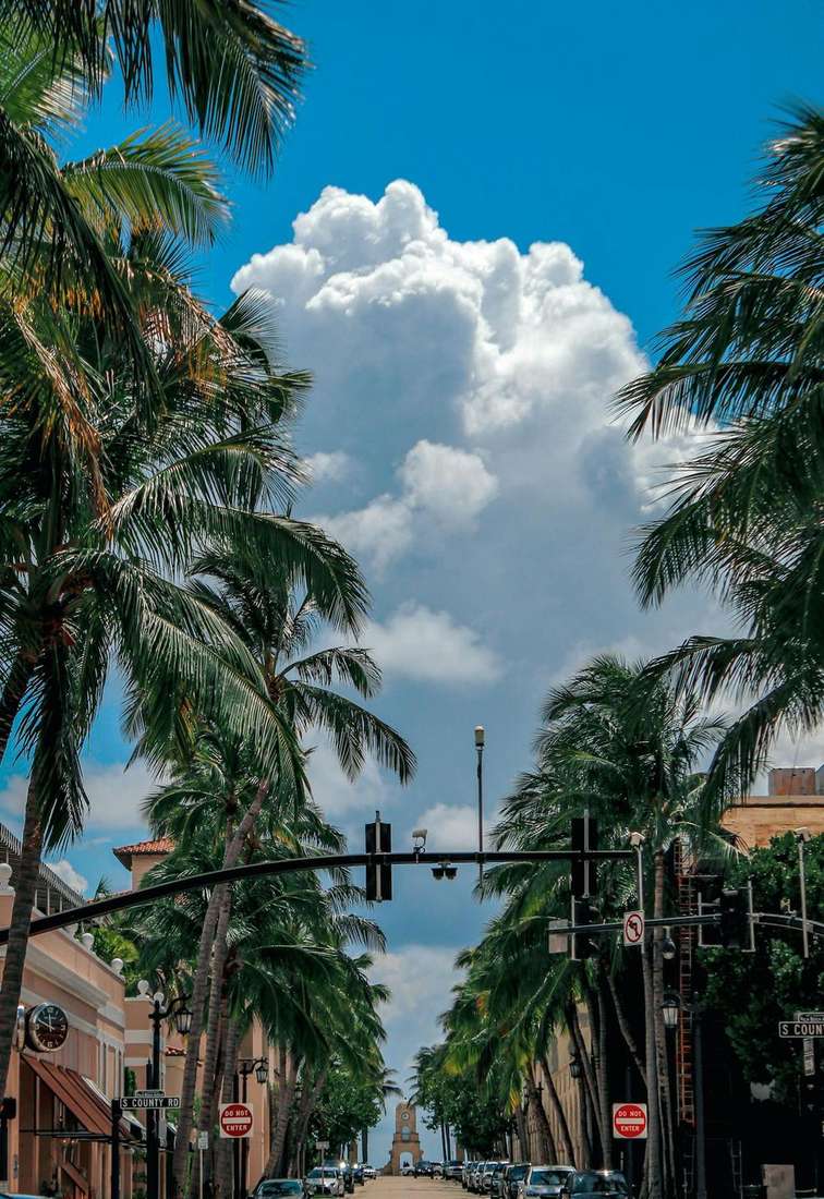 ESA South Florida 2026: Miami, Fort Lauderdale & West Palm Beach Renter Rights ESA South Florida 2026: Miami, Fort Lauderdale & West Palm Beach Renter Rights